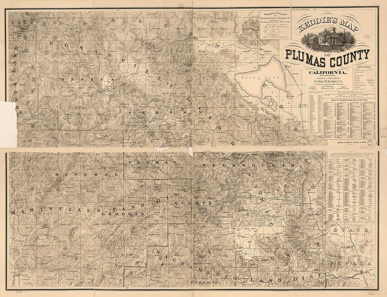 “Fell in with an old bear and a cub:” T.GB.1860.6 & GB.1860.6A