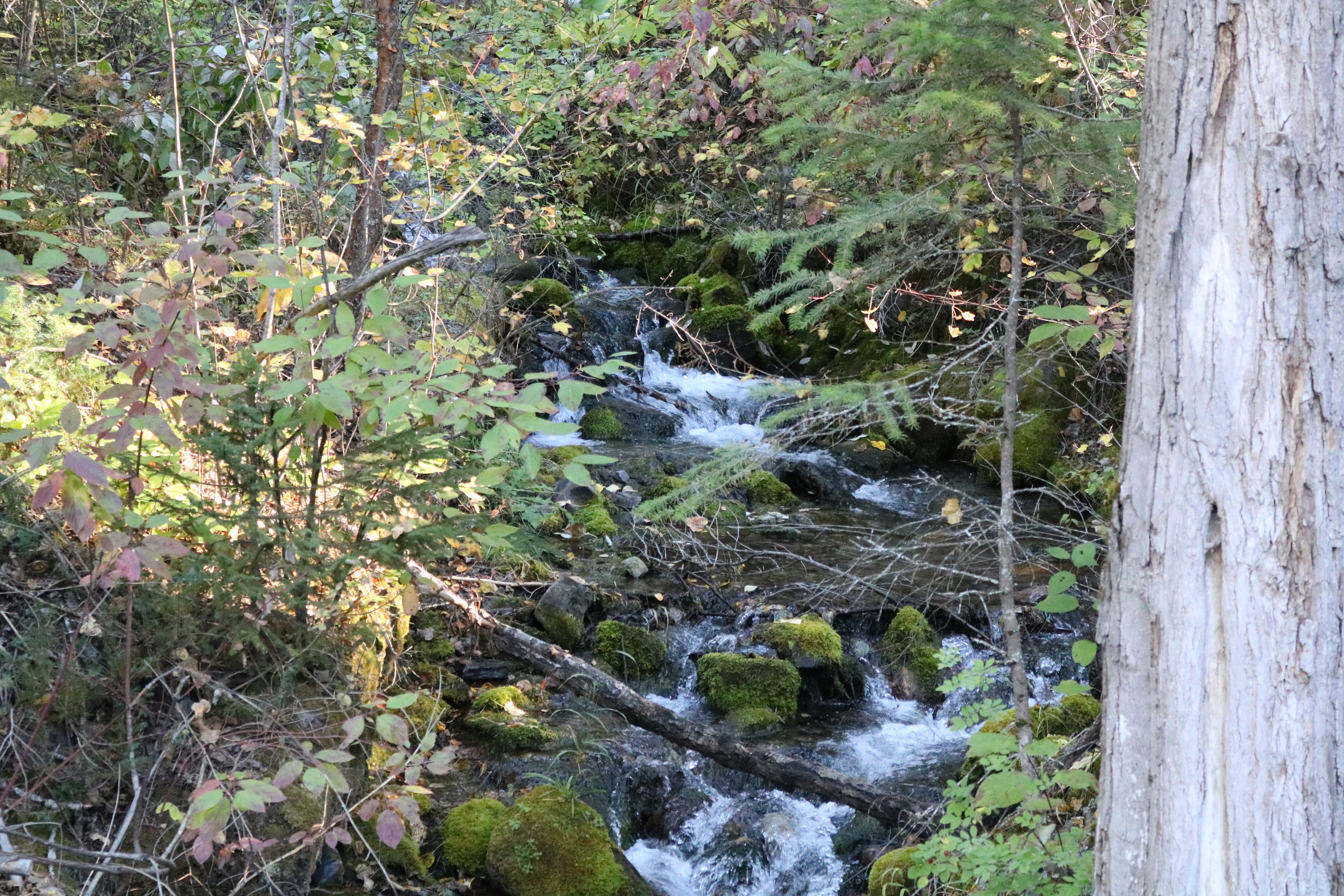 “Walked away with her head in the air:” T.GB.1901.1
